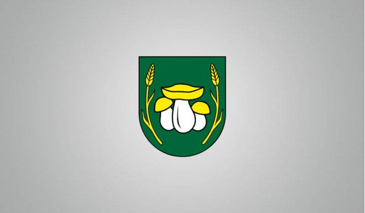 Voľby do Európskeho parlamentu 2024