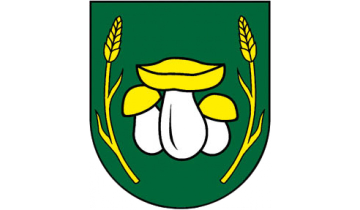 UVEREJNENIE VÝSLEDKOV VOLIEB