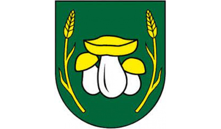  Voľby 2022